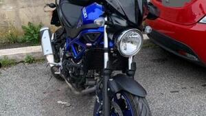 Suzuki SV650 (2021 - 24) 