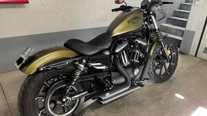 Harley-Davidson 883 Iron (2017 - 20) - XL 883N 