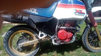 Honda XL 600 R (1983 - 86) usata