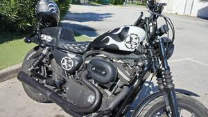 Harley-Davidson 883 Iron (2009 - 11) - XL 883N 