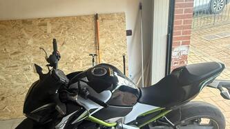 Kawasaki Z 900 Performance (2019)