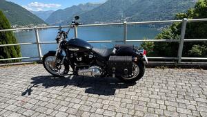 Harley-Davidson Softail Standard (2021 - 25) 