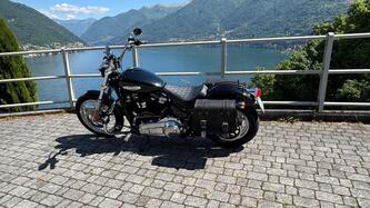 Harley-Davidson Softail Standard (2021 - 25) usata