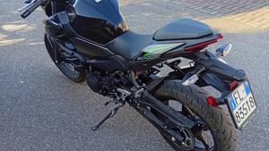 Kawasaki Z 500 (2024 - 25) 