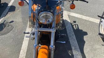 Harley-Davidson 1450 Low Rider (2002 - 05) - FXDLI