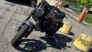 Benelli Leoncino 125 (2022 - 25) 