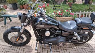 Harley-Davidson 1690 Street Bob (2017) - FXDB usata
