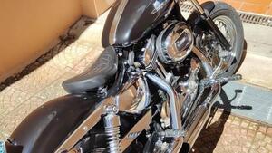 Harley-Davidson 1200 Custom (2004 - 06) - XL 1200C 