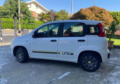 Fiat Panda 1.2 EasyPower Young usata