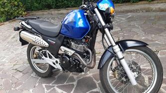 Honda FX Vigor 650 usata