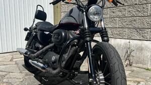 Harley-Davidson 883 Iron (2012 - 14) - XL 883N 