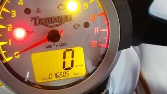 Triumph Speed Triple 1050 (2005 - 11) usata