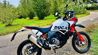 Ducati DesertX Rally (2024 - 25) usata