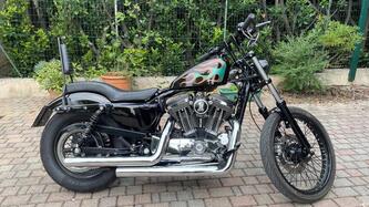 Harley-Davidson 1200 Custom (2004 - 06) - XL 1200C