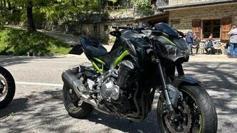 Kawasaki Z 900 (2017 - 18) usata