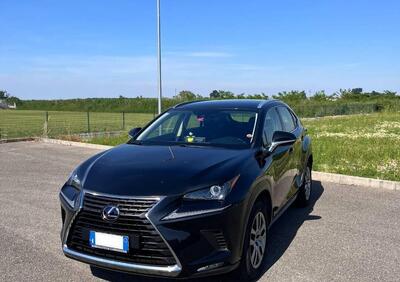Lexus NX Hybrid 4WD Executive usata