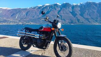 Triumph Scrambler (2006 - 17)
