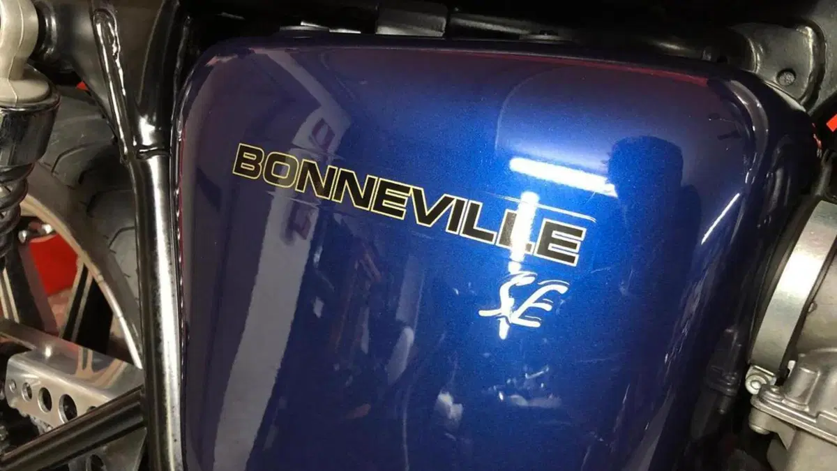 Triumph Bonneville T100 SE (2014)  (5)