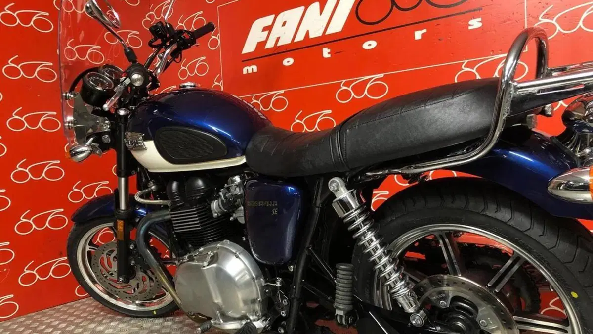 Triumph Bonneville T100 SE (2014)  (4)