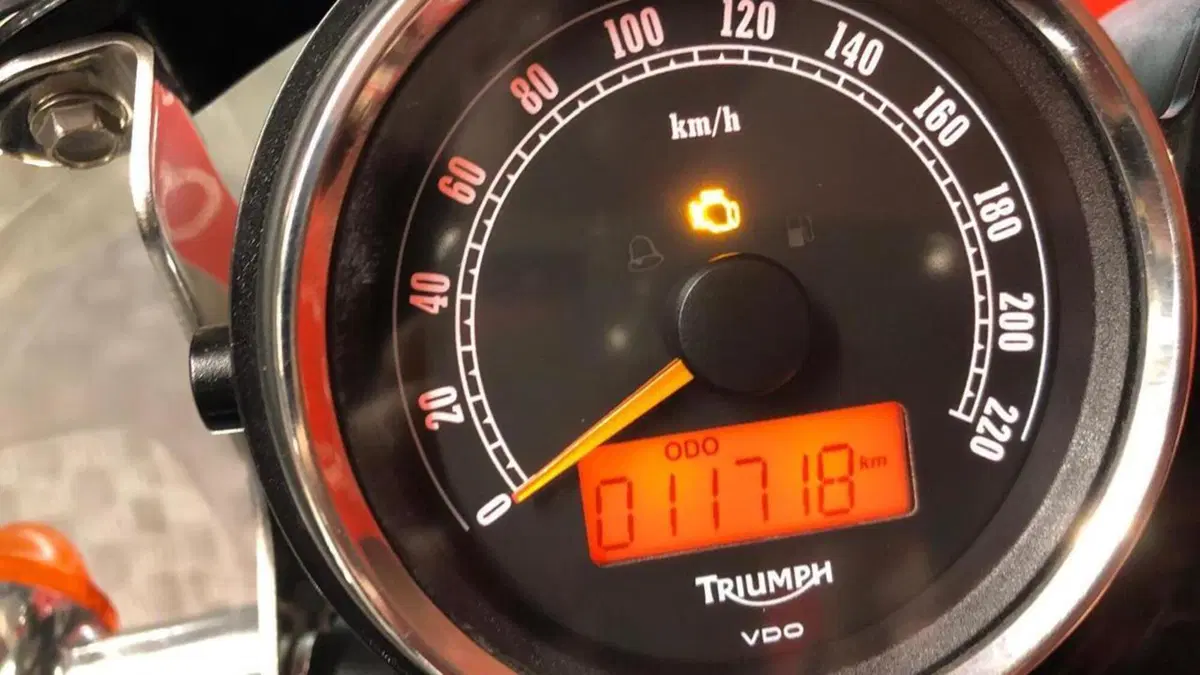 Triumph Bonneville T100 SE (2014)  (6)