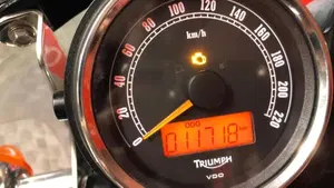 Triumph Bonneville T100 SE (2014)  (6)
