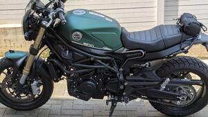 Benelli Leoncino 800 (2022 - 25) 