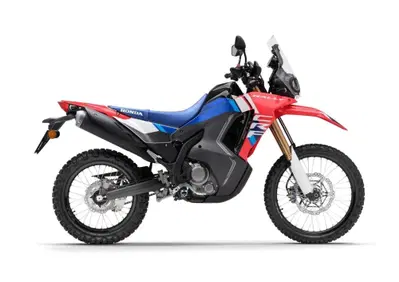Honda CRF 300 Rally (2025 - 26) - Annuncio 9725488