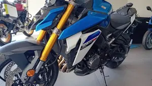 Suzuki GSX-S1000 EVO (2025 - 26)  (4)