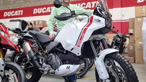Ducati DesertX (2022 - 25)