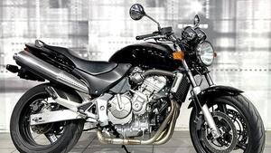 Honda Hornet 600 (2000 - 02) 