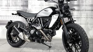 Ducati Scrambler 800 Icon (2023 - 25) 