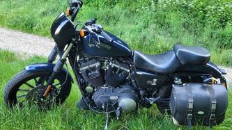 Harley-Davidson 883 Iron (2012 - 14) - XL 883N