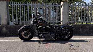 Harley-Davidson 1584 Cross Bones (2008 - 11) - FLSTSB 