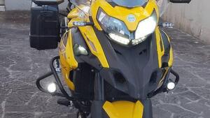 Benelli TRK 502X (2021 - 25) 