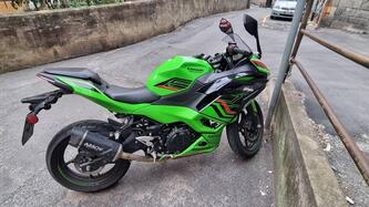 Kawasaki Ninja 500 SE (2024 - 25)
