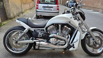 Harley-Davidson 1130 V-Rod (2002 - 05) - VRSCA usata
