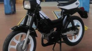 Motron  