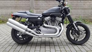 Harley-Davidson 1200 XR (2009 - 12) 