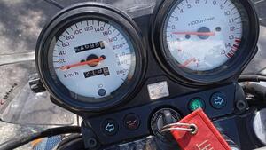 Honda Hornet 600 (2000 - 02) 