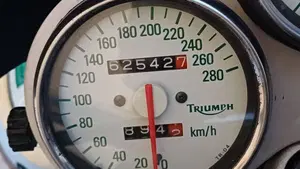 Triumph Speed Triple 955 (1998 - 01)  (7)
