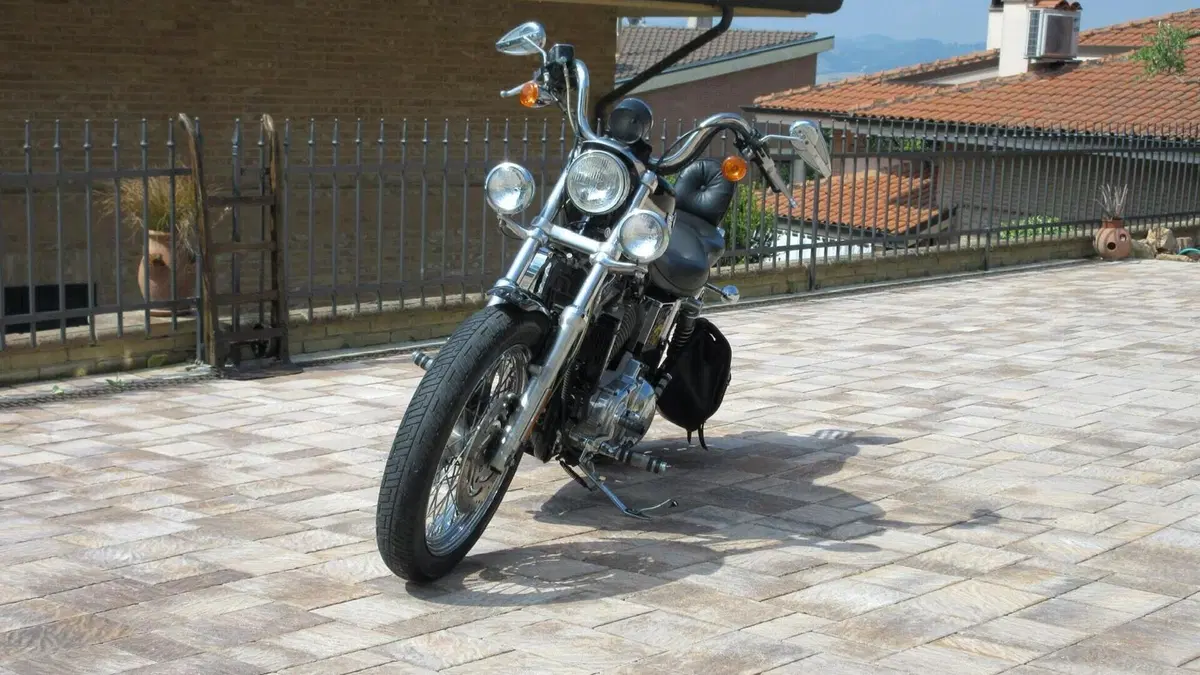 Harley-Davidson   (9)