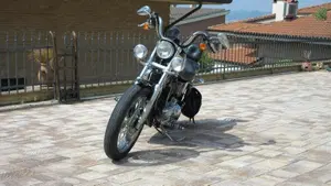 Harley-Davidson   (9)