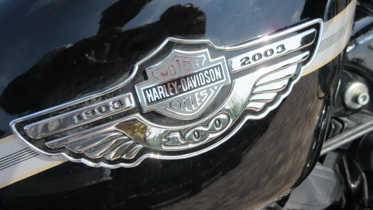 Harley-Davidson   (13)