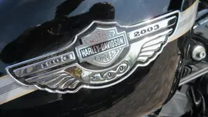 Harley-Davidson   (13)