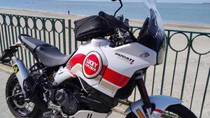 Ducati DesertX (2022 - 25) 