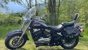 Kawasaki VN 800 Classic (2001 - 06) 