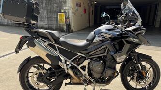 Triumph Tiger 1200 GT Pro (2022 - 23) usata
