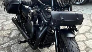 Harley-Davidson 883 Iron (2017 - 20) - XL 883N 
