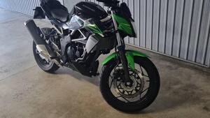 Kawasaki Z 125 (2021 - 25) 