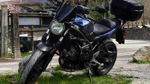 Suzuki SV650 (2021 - 24) 